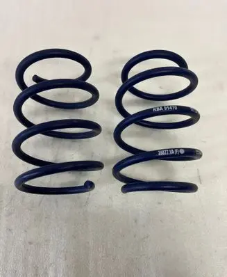 Rear coil spring