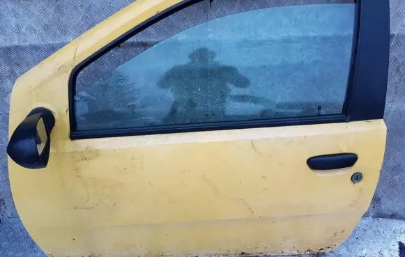 Fiat Punto (188) Front door