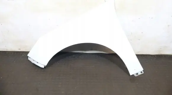 Ford Focus Fender
