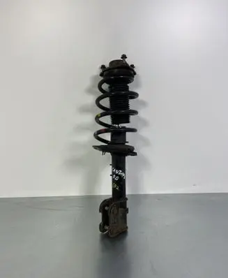 Hyundai Santa Fe Front shock absorber with coil spring 546612W500
