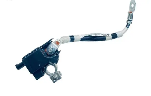 Negative earth cable (battery)