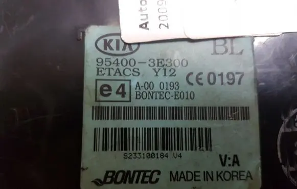 KIA Sorento Door central lock control unit/module 954003E300 A000193