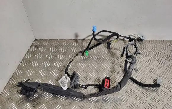 Front door wiring loom