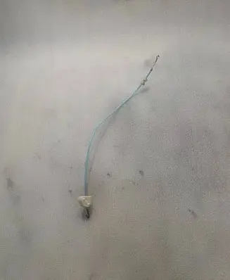 Front door cable line