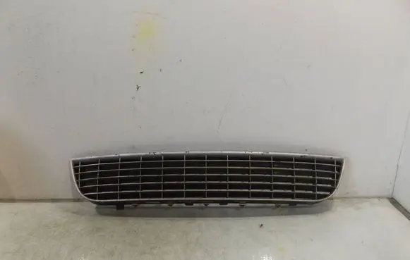 Front bumper lower grill