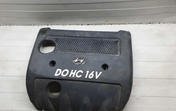 Hyundai Sonata Engine cover (trim) 2924025020