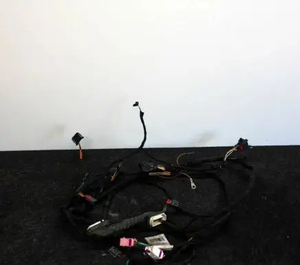 Volkswagen Touareg II Other wiring loom 7P6971145A