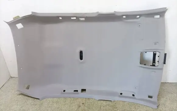 BMW 1 F40 Headlining 