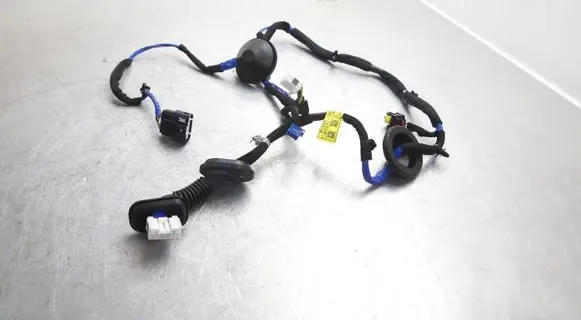 Hyundai Ioniq Rear door wiring loom 91660-G2271