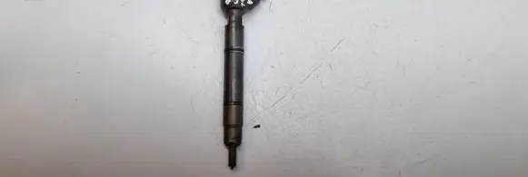 KIA Soul Fuel injector 0445110320 338002A900