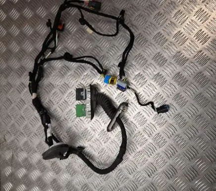 Peugeot 3008 II Front door wiring loom 9837478580