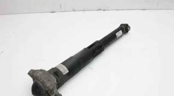 Cupra Born Rear shock absorber/damper 1EA512011AL
