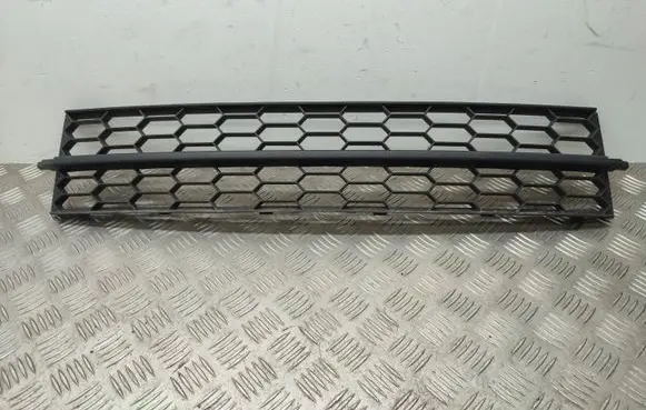 Front bumper lower grill