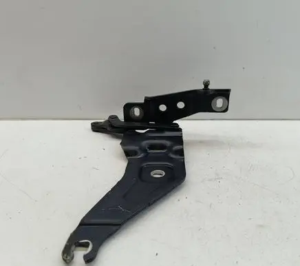 BMW X5 E70 Engine bonnet/hood hinges 7208627