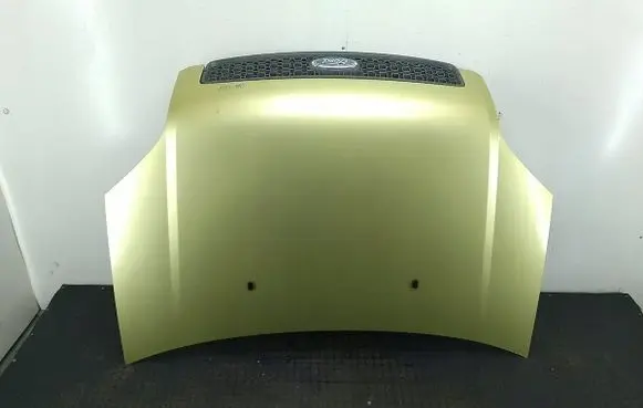 Engine bonnet/hood