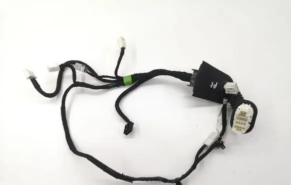 Front door wiring loom
