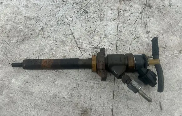 Citroen C4 I Picasso Fuel injector 0445110311
