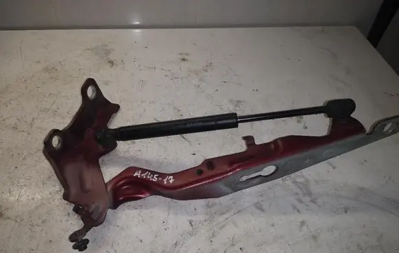 Tailgate/trunk/boot hinge