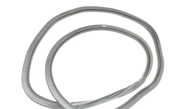 Ford Edge II Front door rubber seal 