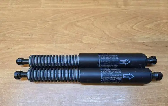 Tailgate/trunk strut/damper