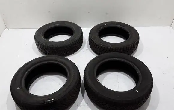 Renault Clio III R20 summer tire 18565R15