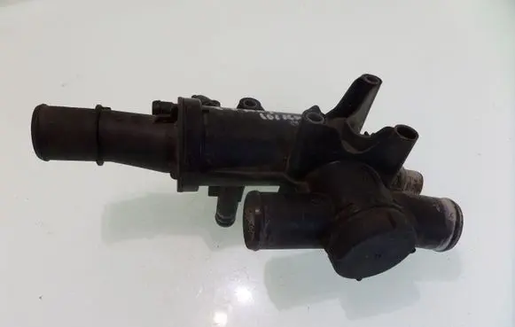 Thermostat/thermostat housing