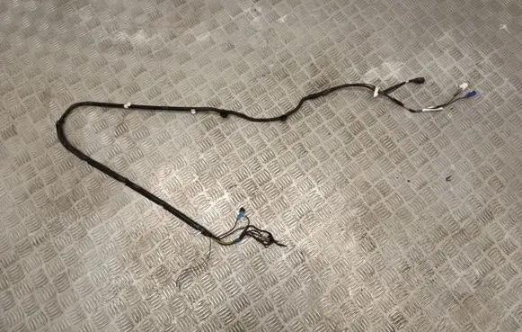 Tesla Model Y Other wiring loom 161669103D