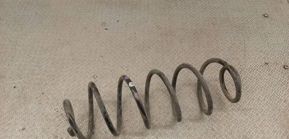Citroen C3 Rear coil spring 