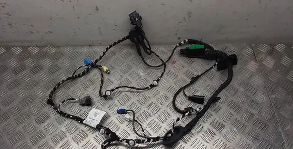 Porsche Macan (95B) Front door wiring loom 95B971030