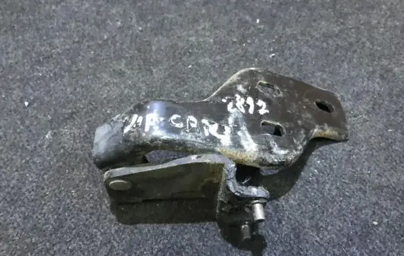 KIA Carnival Rear door lower hinge