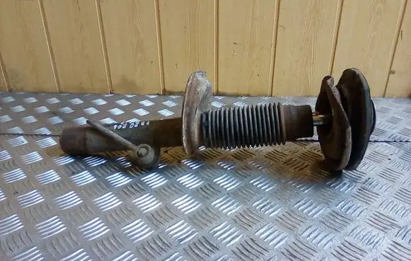 Peugeot 206 Front shock absorber/damper
