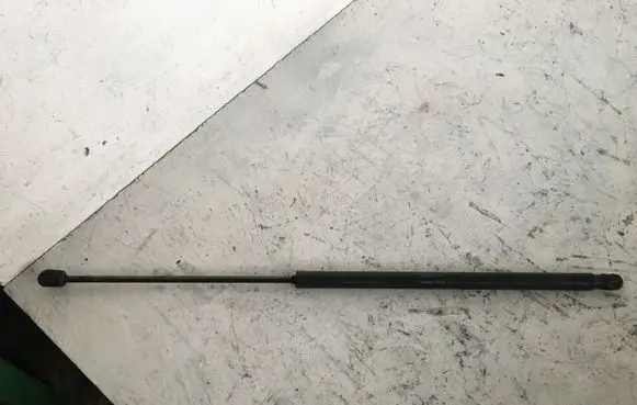 Tailgate strut