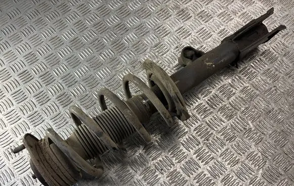 Hyundai Santa Fe Front shock absorber with coil spring