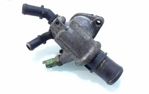 Thermostat/thermostat housing