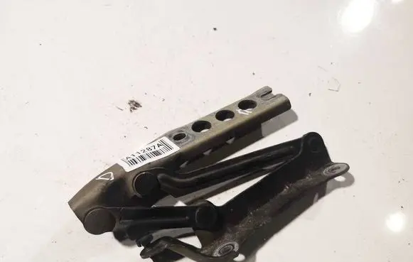 Skoda Fabia Mk2 (5J) Engine bonnet/hood hinges 