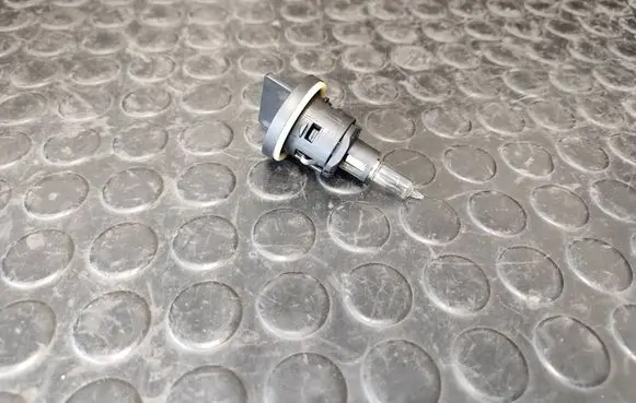Citroen C4 II Headlight/headlamp bulb 20008846