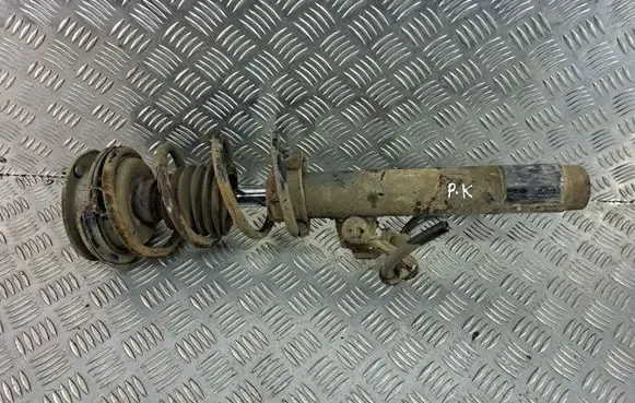 BMW X1 E84 Front shock absorber/damper 6789573