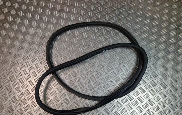 Hyundai Santa Fe Front door rubber seal