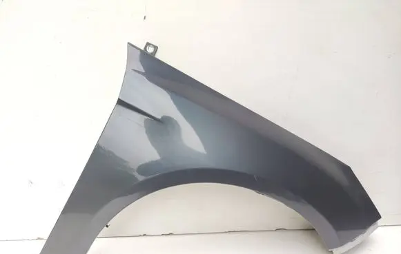 Ford Focus Fender