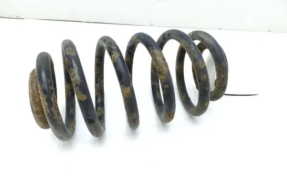 Rear coil spring