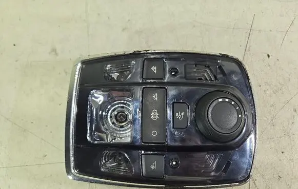 Peugeot 508 Headlining lighting console trim 98033020ZD
