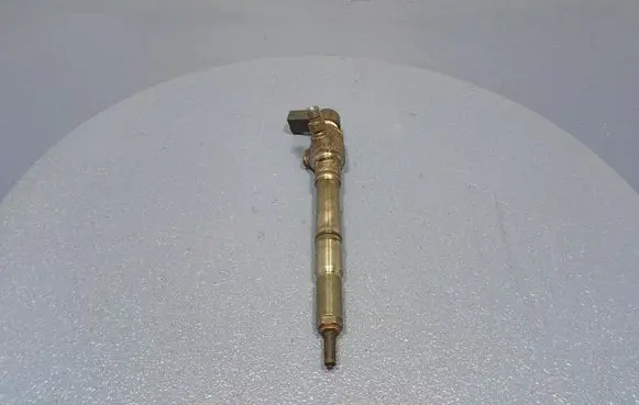 Volkswagen Golf Plus Fuel injector A2C59513554