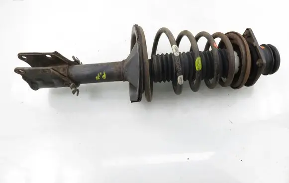 Fiat Doblo Front shock absorber with coil spring 
