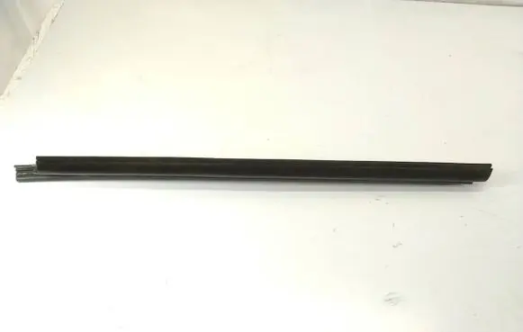 Renault Laguna III Rubber seal rear door window/glass 