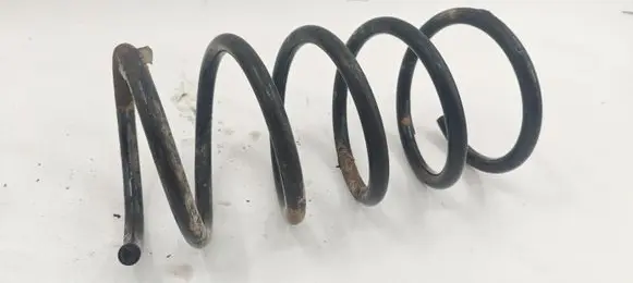 Rear coil spring