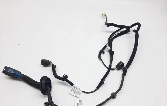 Hyundai Kona I Rear door wiring loom 91620K4010