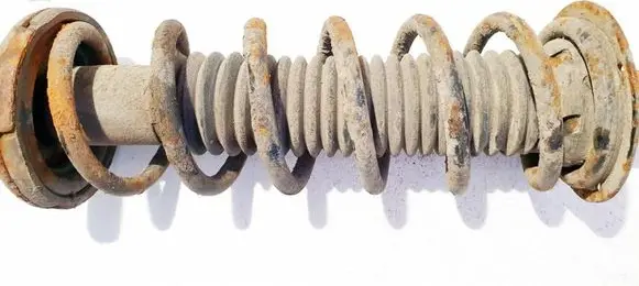 Rear coil spring