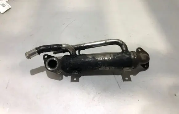 Volkswagen PASSAT B5.5 EGR valve cooler