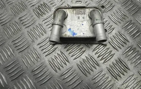 Nissan Qashqai Engine oil radiator 213055917R