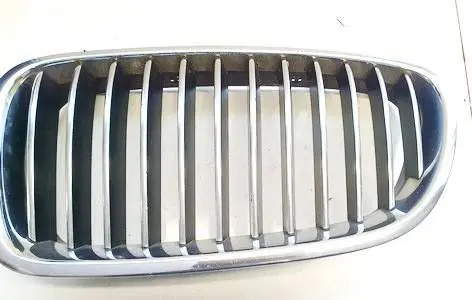 BMW 5 F10 F11 Front grill 51137200727 51137261355
